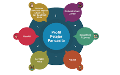 Program P5